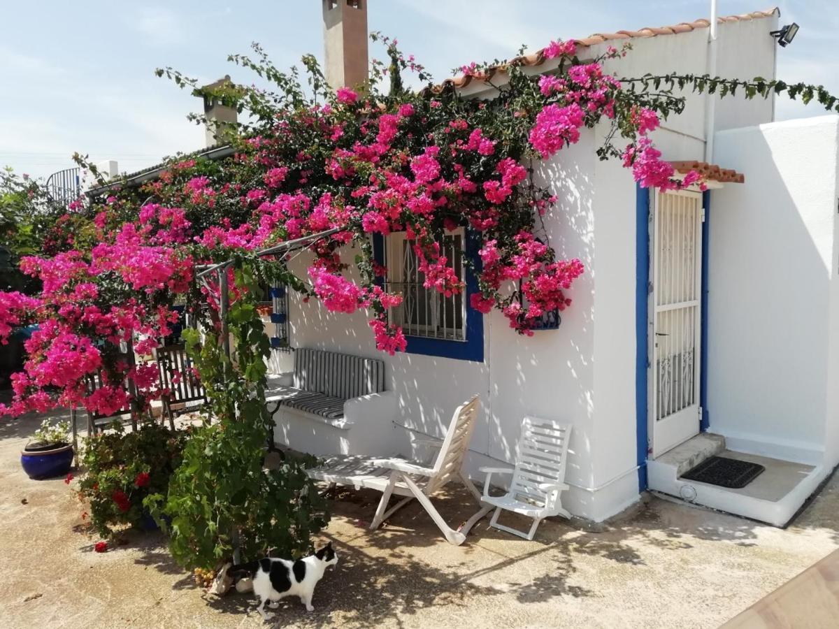 טורבלנקה Finca La Joya מראה חיצוני תמונה